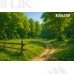 Tło fotograficzne Las 3611
